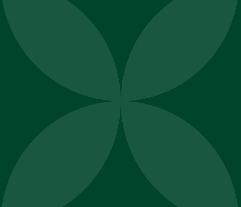 Formations pour étudiants et jeunes diplômés